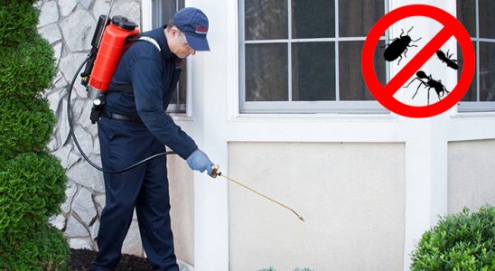 Tuşba Böcek İlaçlama böcek ilaçlama ve haşere kontrolü — ilaclama-tr.com